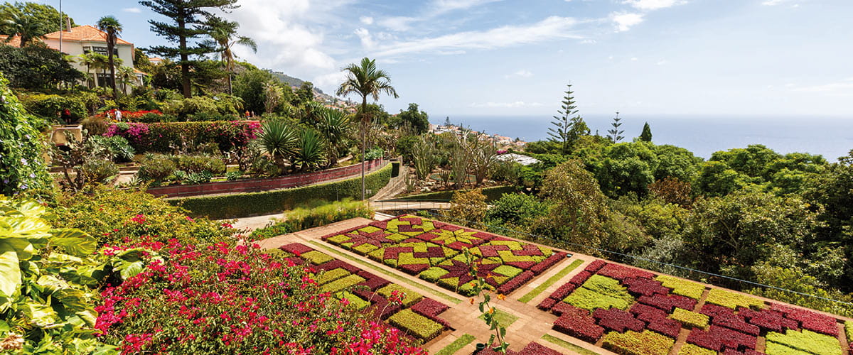 The Botanical Gardens of Funchal